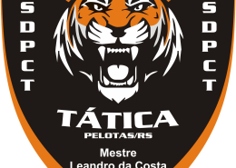 DEFESA PESSOAL de combate tatica