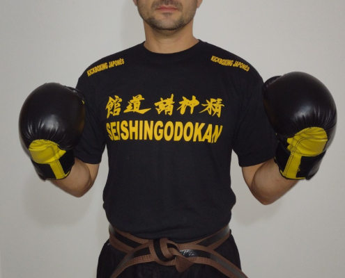 SENSEI CYRO PEÇANHA - 1º DAN KICKBOXING SEISHINGODOKAN - RIO DE JANEIRO